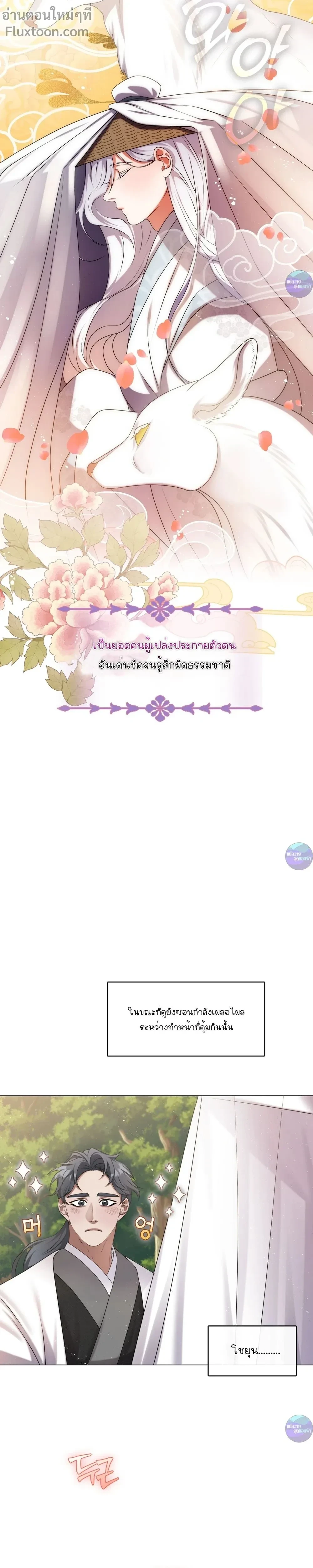 หน้าที่ 17