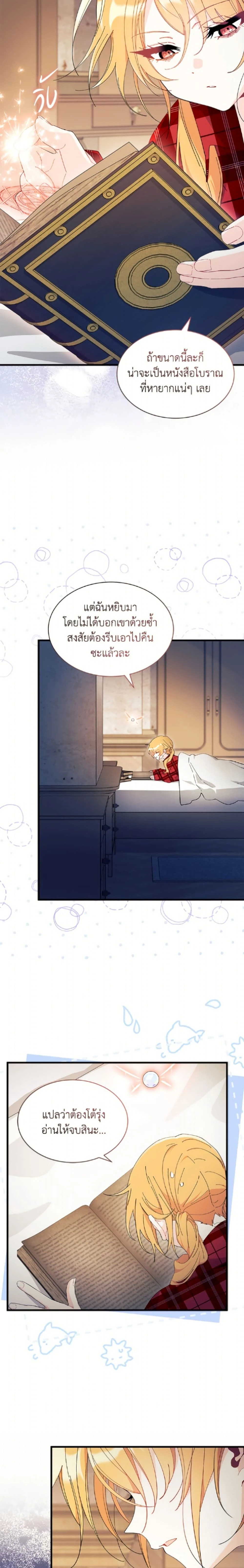 หน้าที่ 17