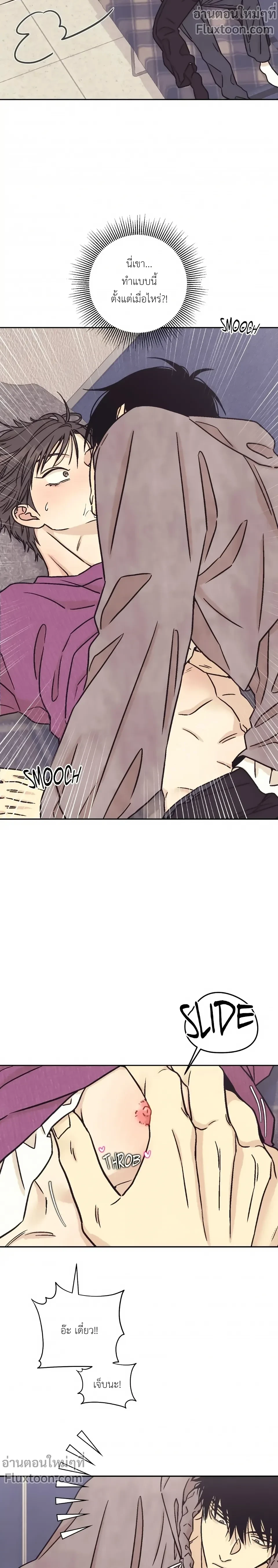 หน้าที่ 11