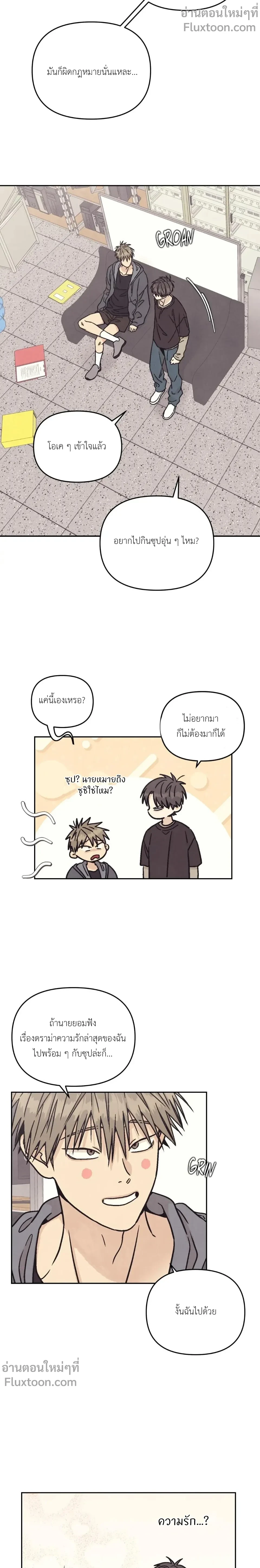 หน้าที่ 13