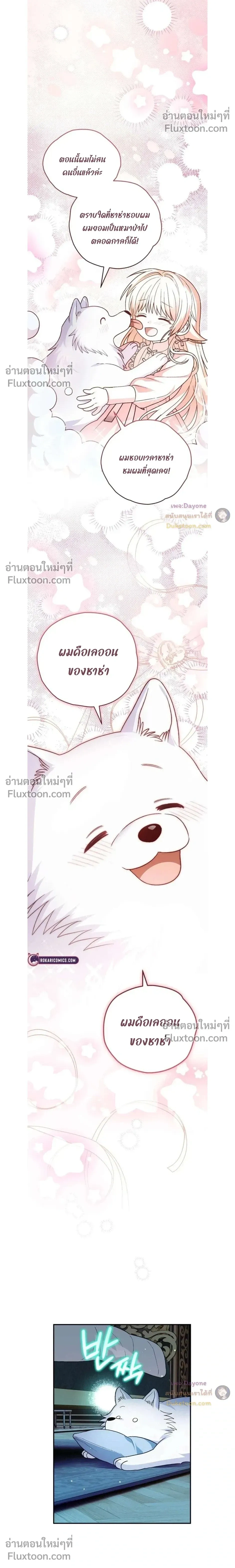 หน้าที่ 28