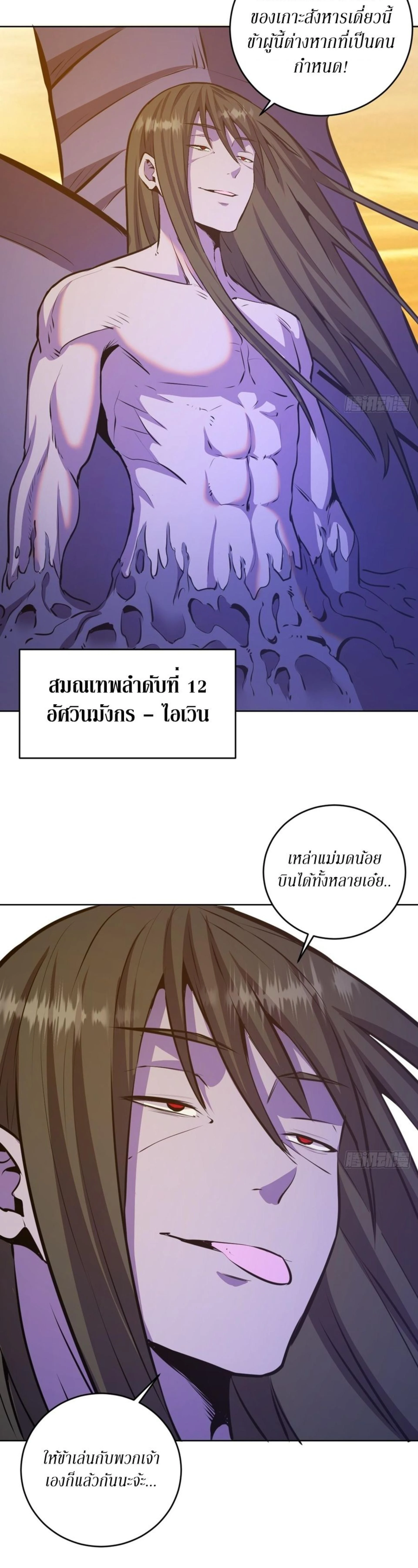 หน้าที่ 13