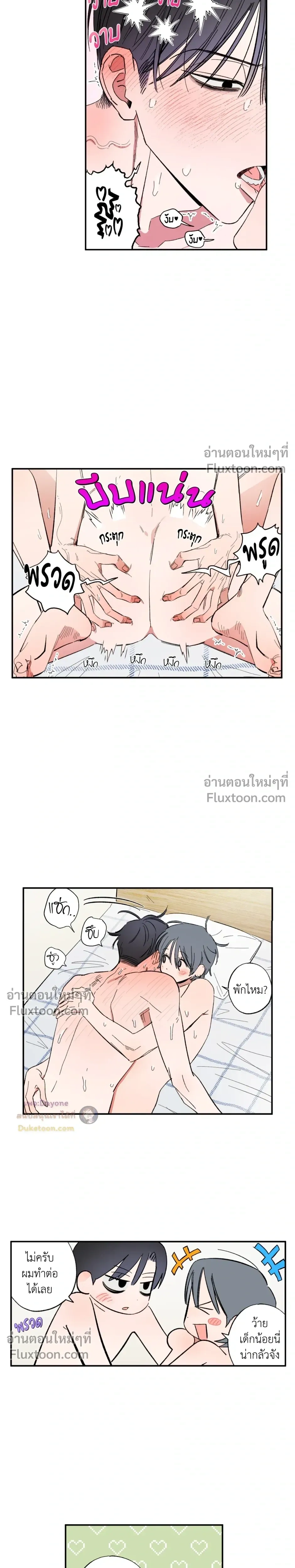 หน้าที่ 13