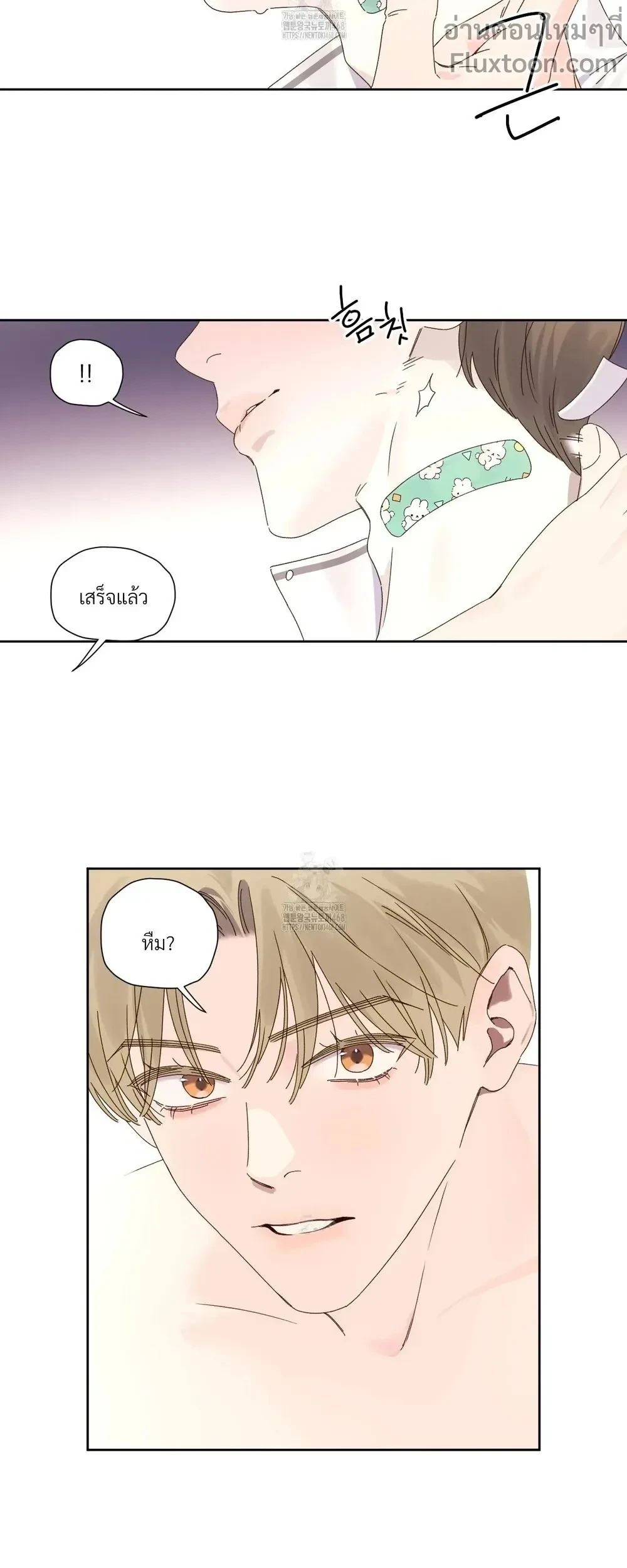 หน้าที่ 11