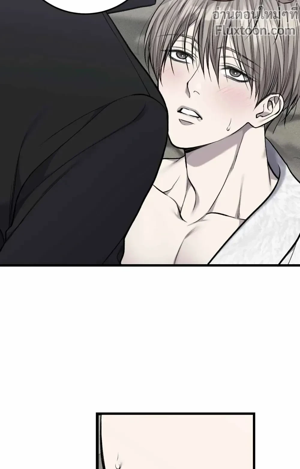 หน้าที่ 17