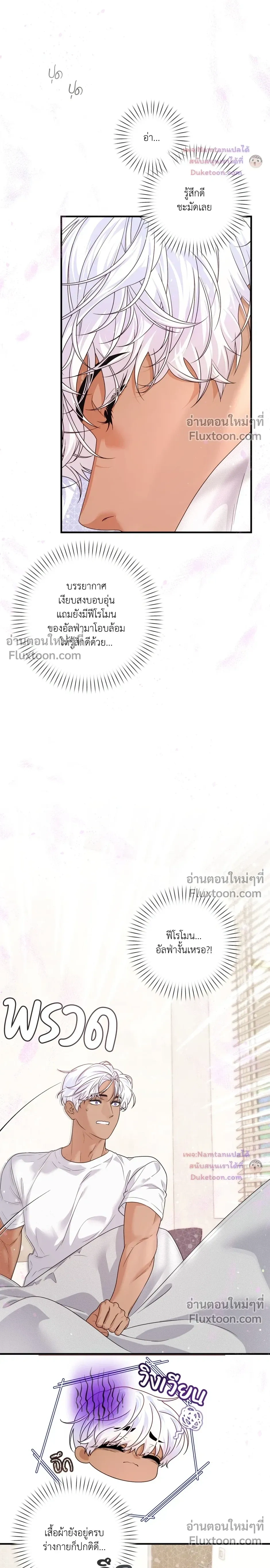 หน้าที่ 24