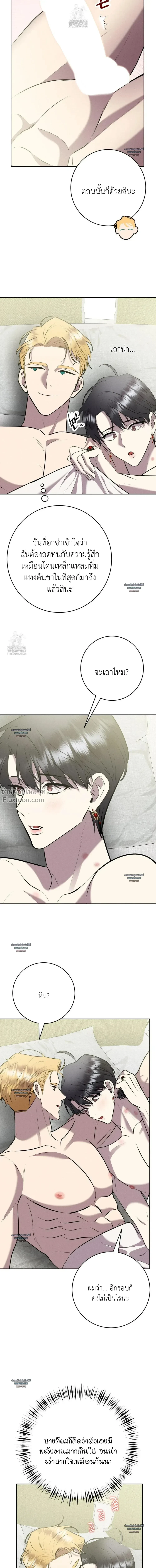 หน้าที่ 24