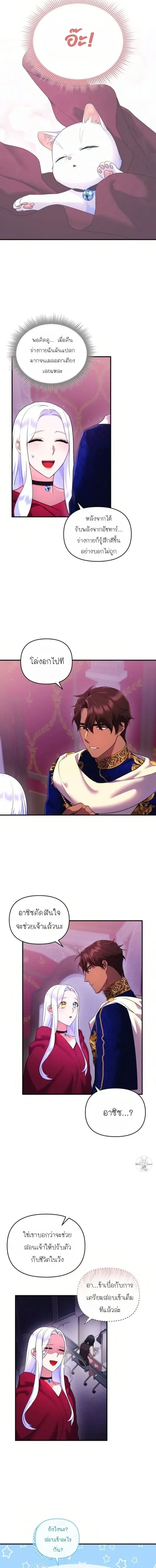 หน้าที่ 3