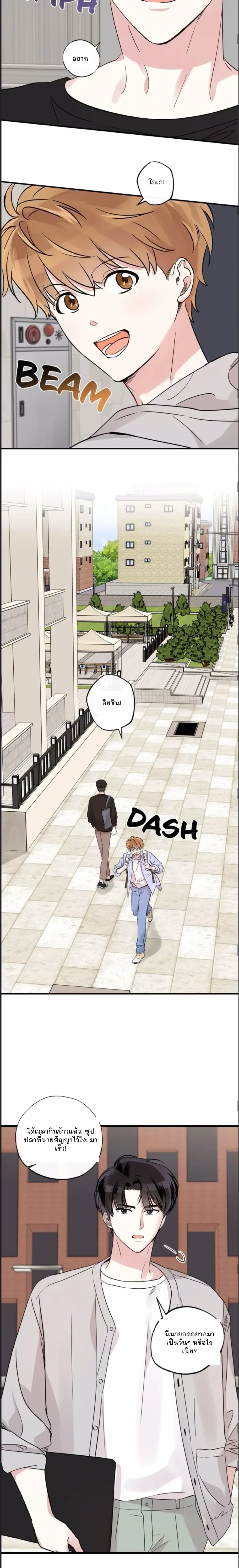 หน้าที่ 8