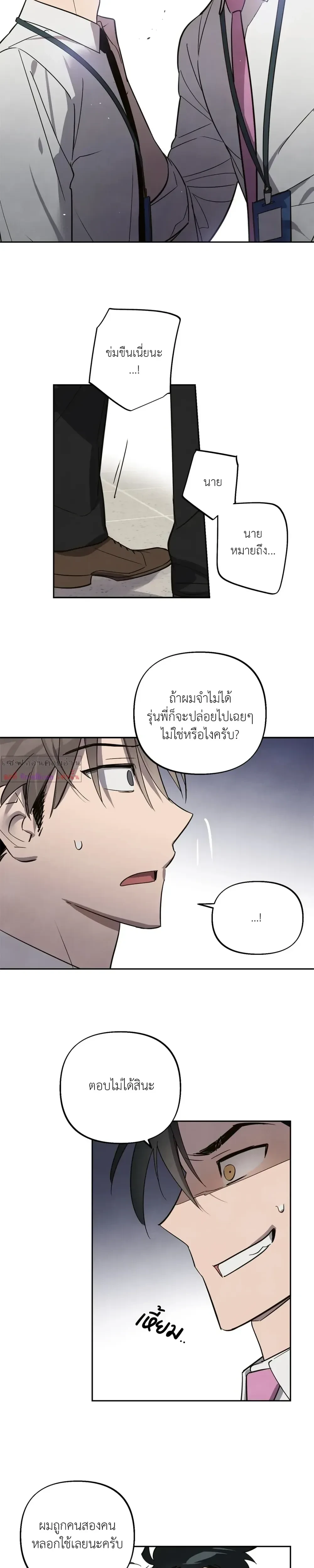 หน้าที่ 17