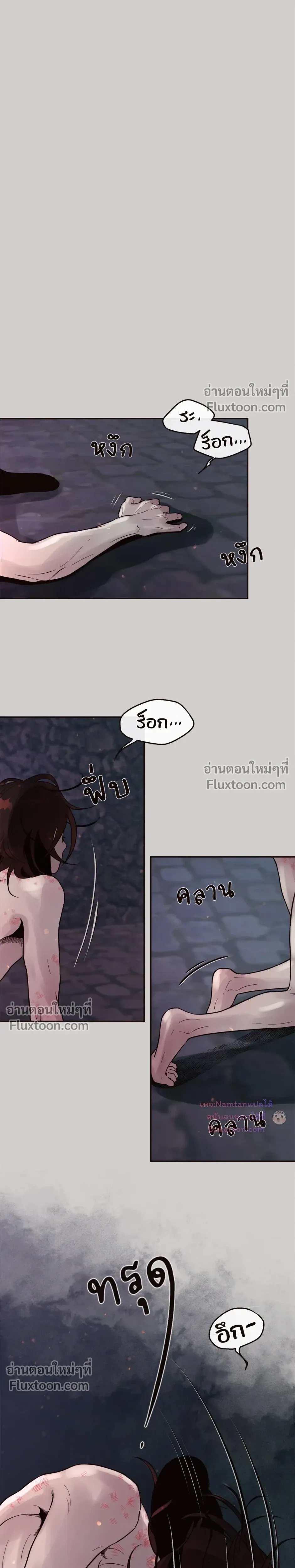 หน้าที่ 13