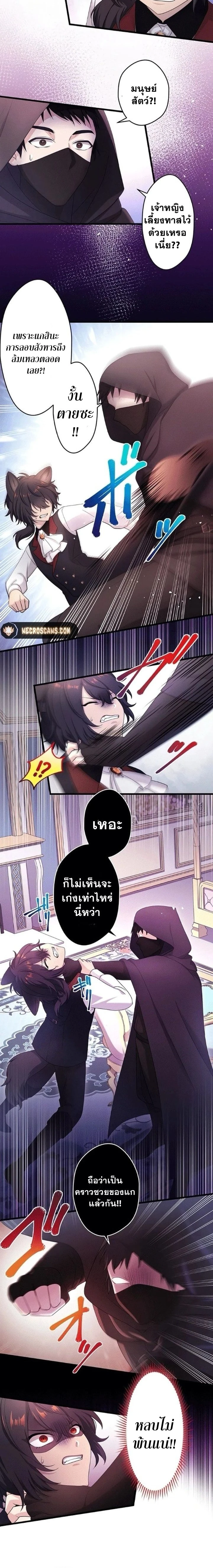 หน้าที่ 8