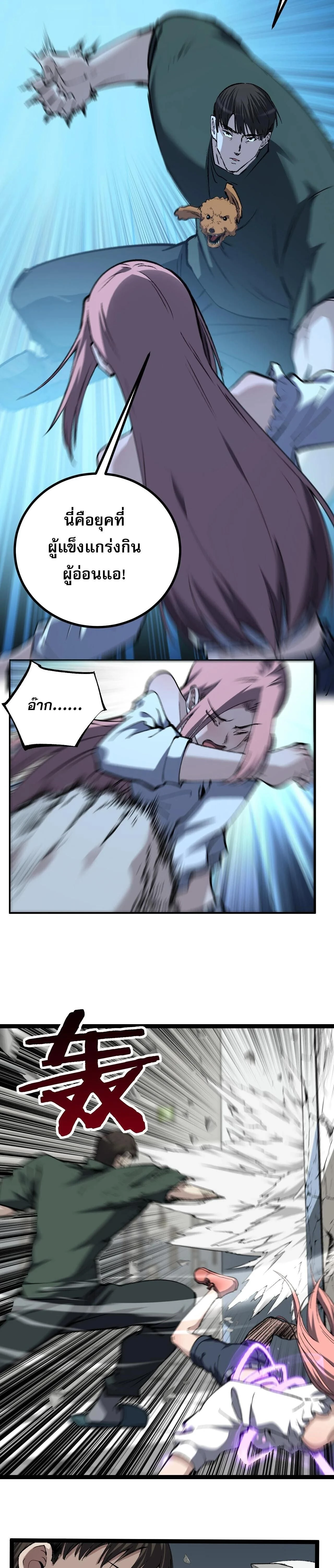 หน้าที่ 13