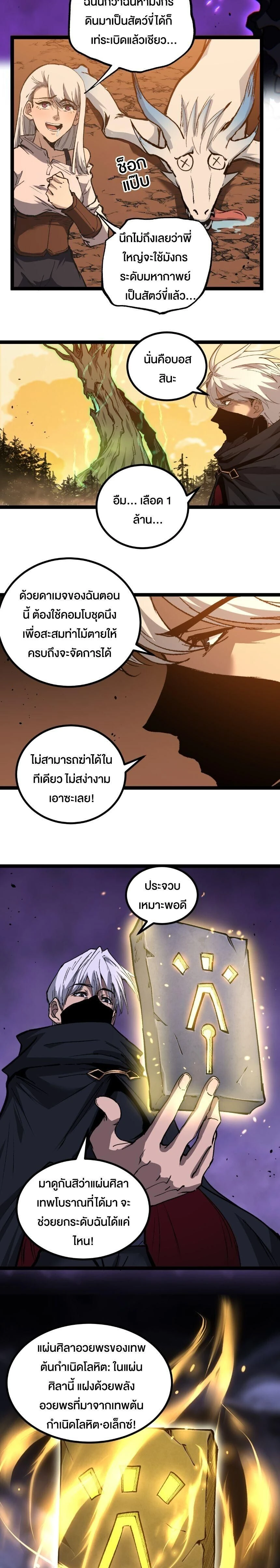 หน้าที่ 3