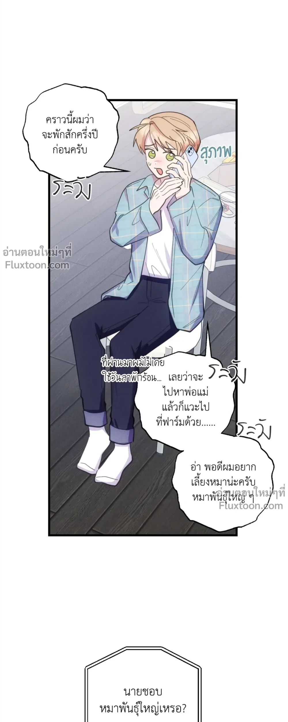 หน้าที่ 13