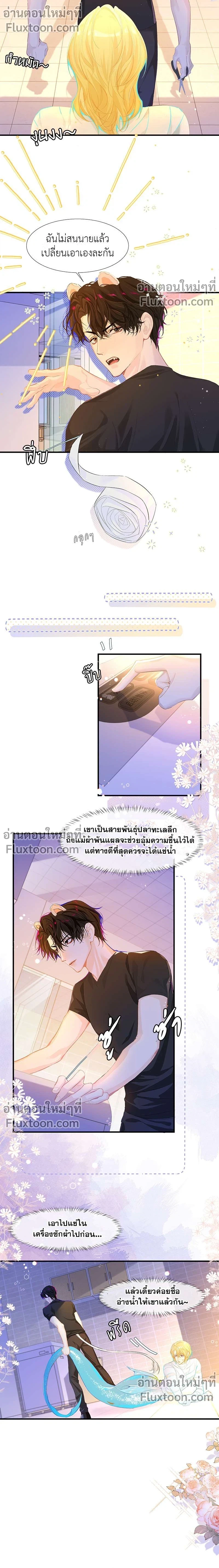 หน้าที่ 3