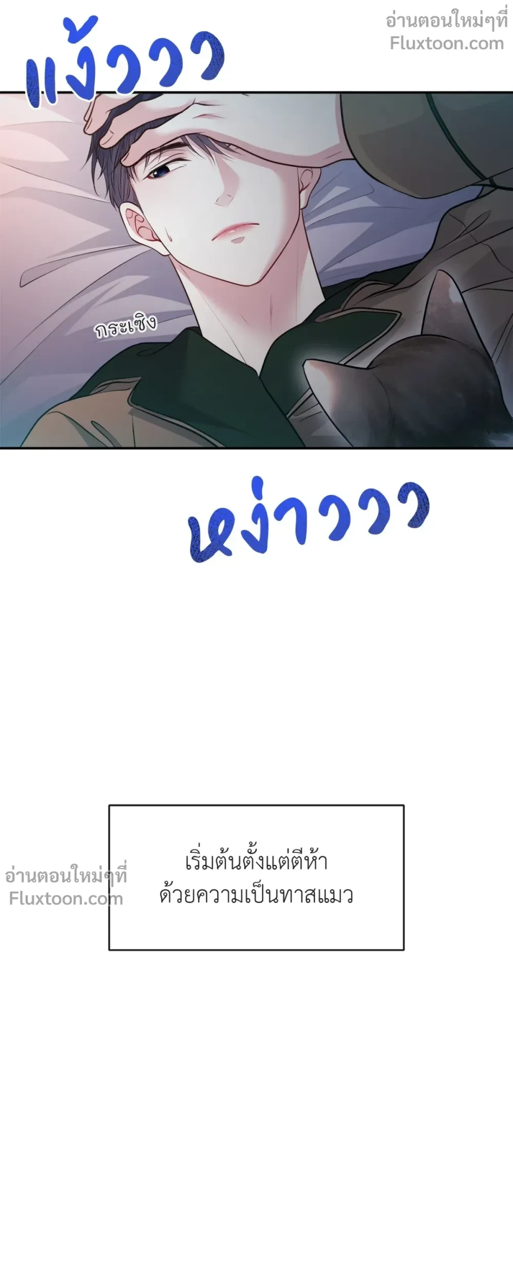 หน้าที่ 3