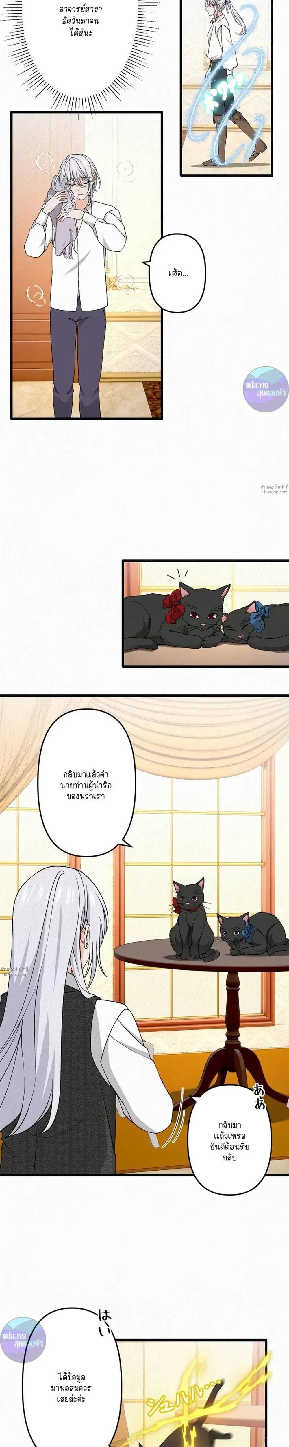 หน้าที่ 29