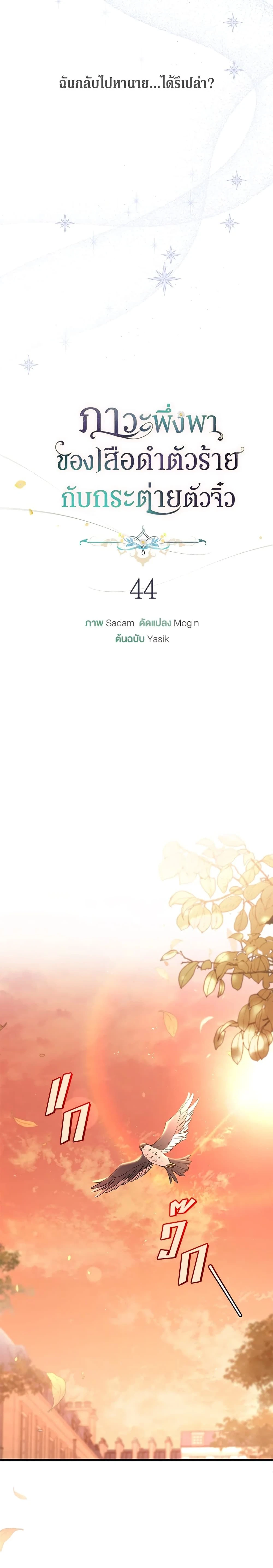 หน้าที่ 5