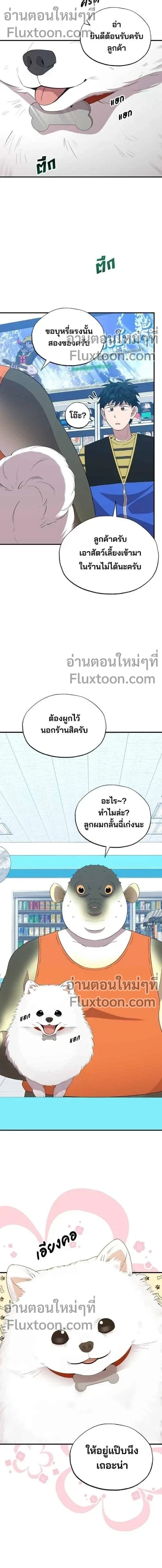 หน้าที่ 11