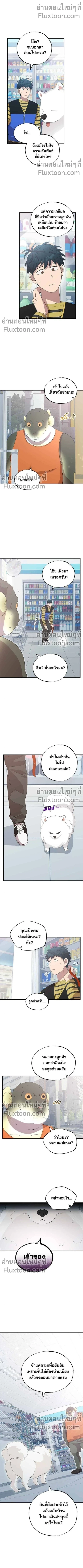 หน้าที่ 8