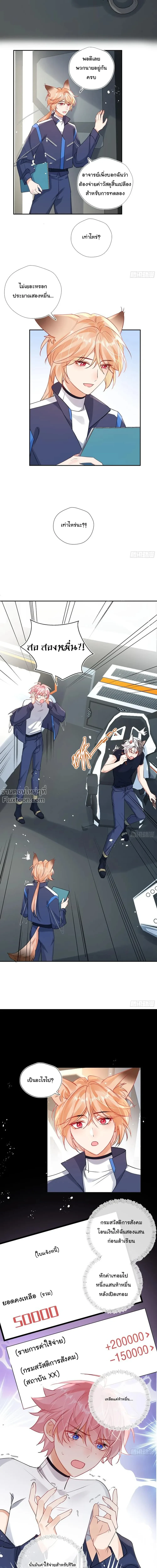 หน้าที่ 14