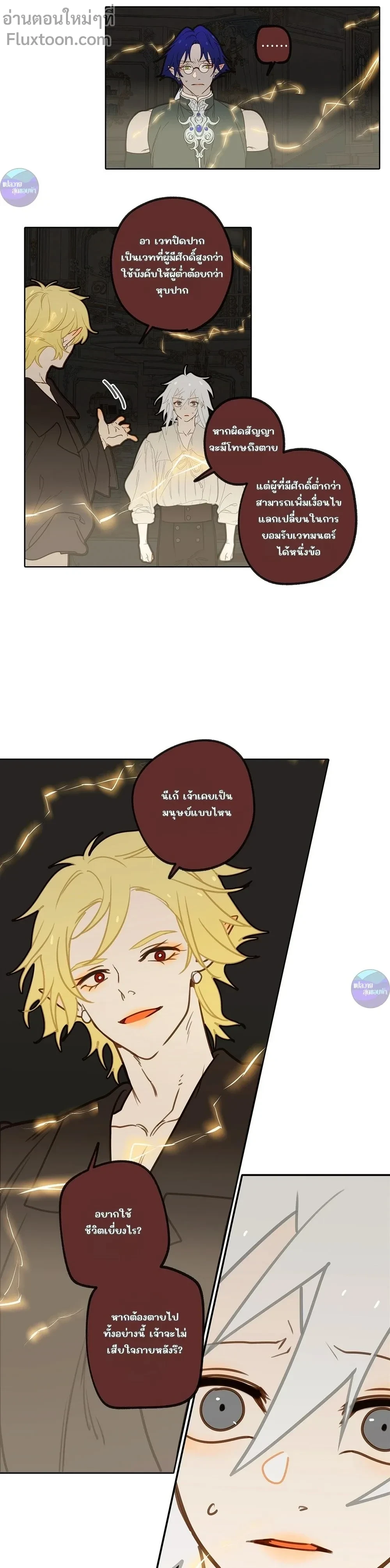 หน้าที่ 13