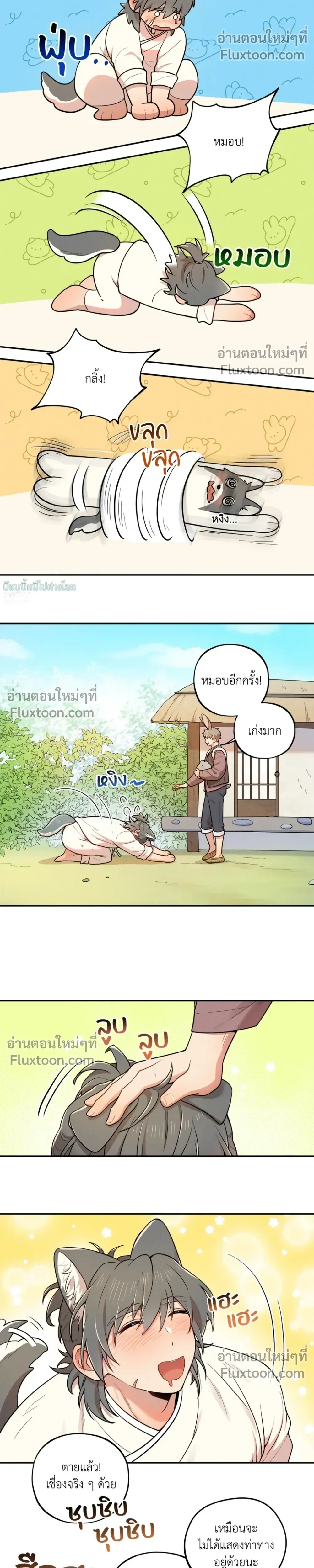 หน้าที่ 14