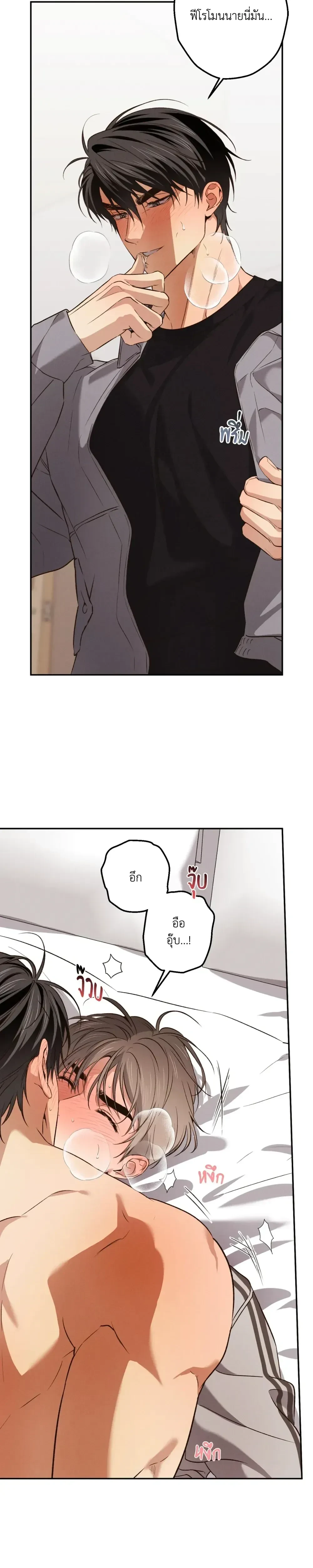 หน้าที่ 13