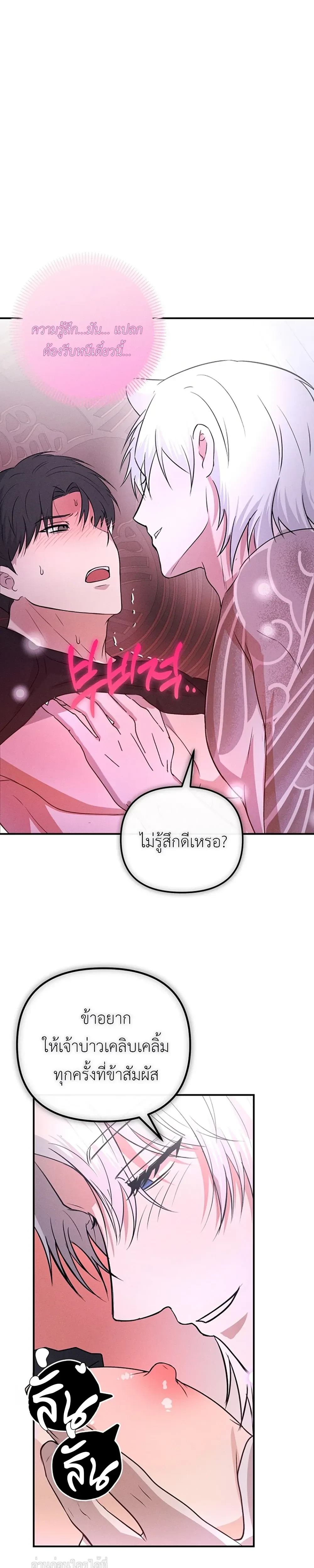 หน้าที่ 29