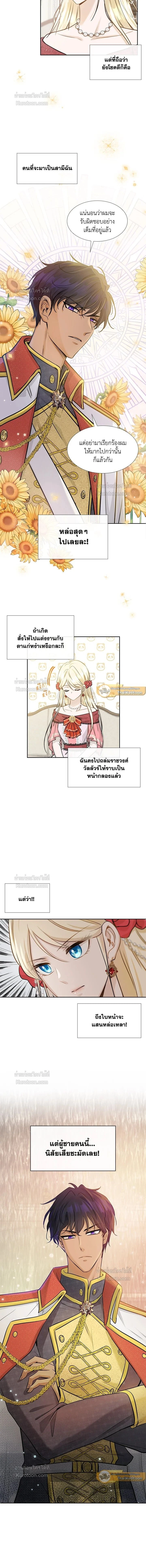 หน้าที่ 3