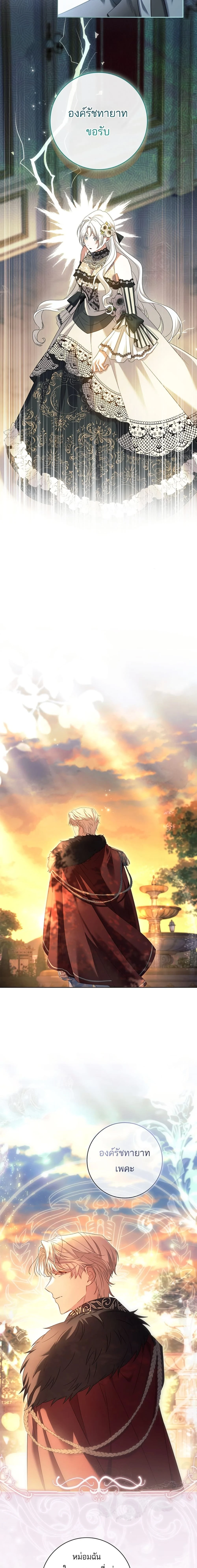 หน้าที่ 11