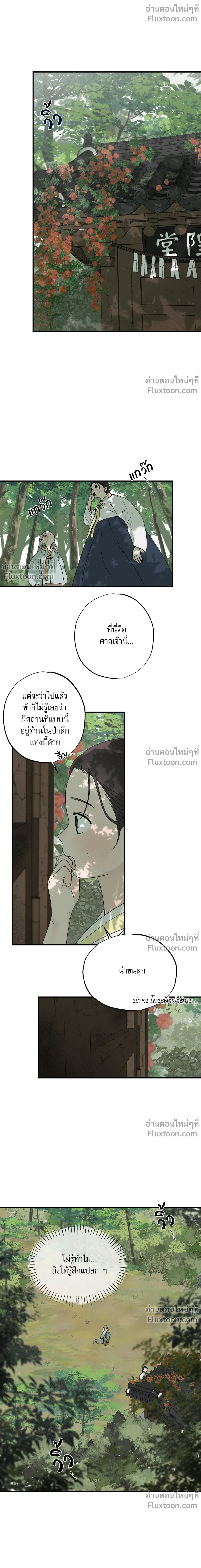 หน้าที่ 11