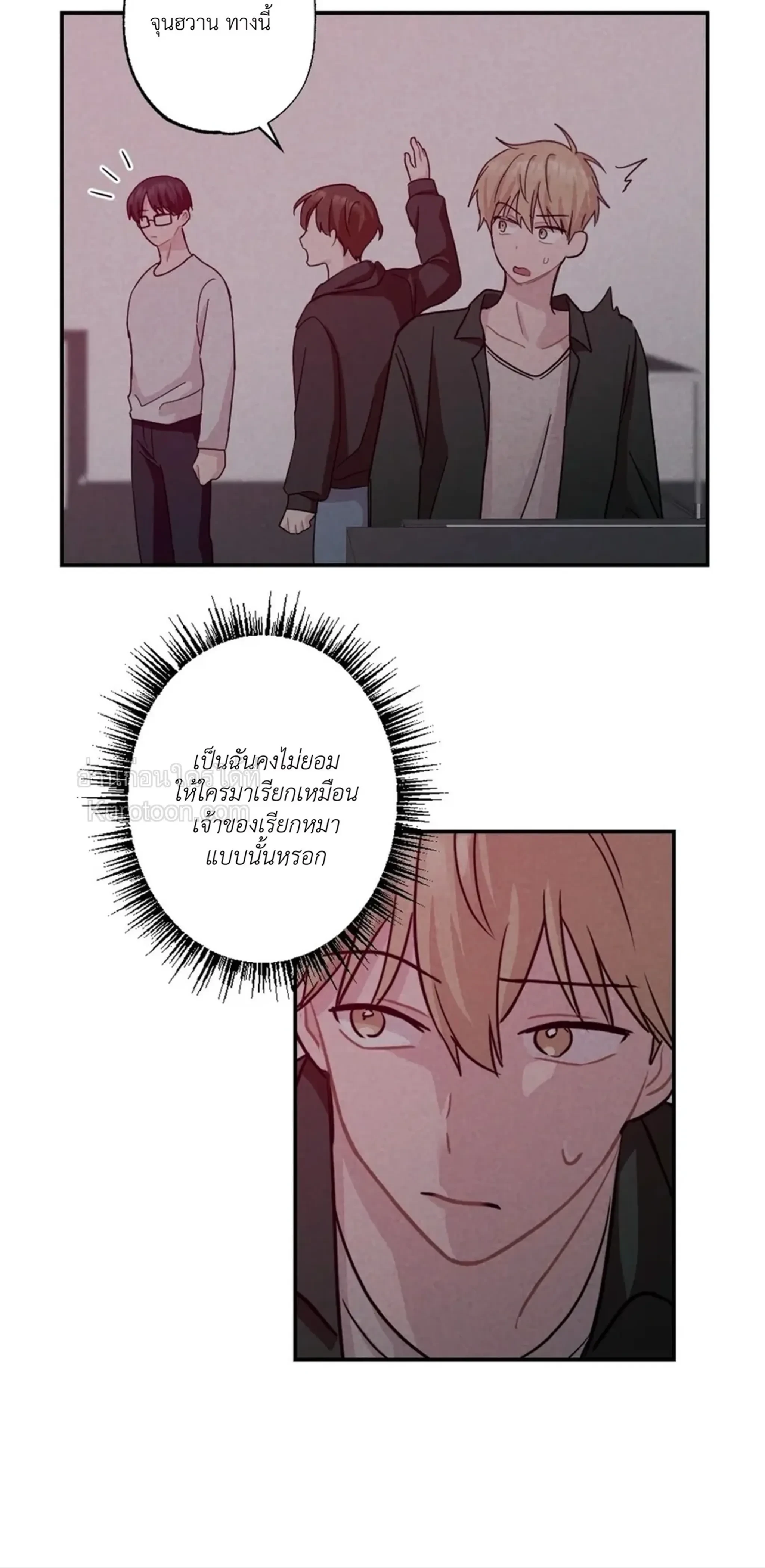 หน้าที่ 19