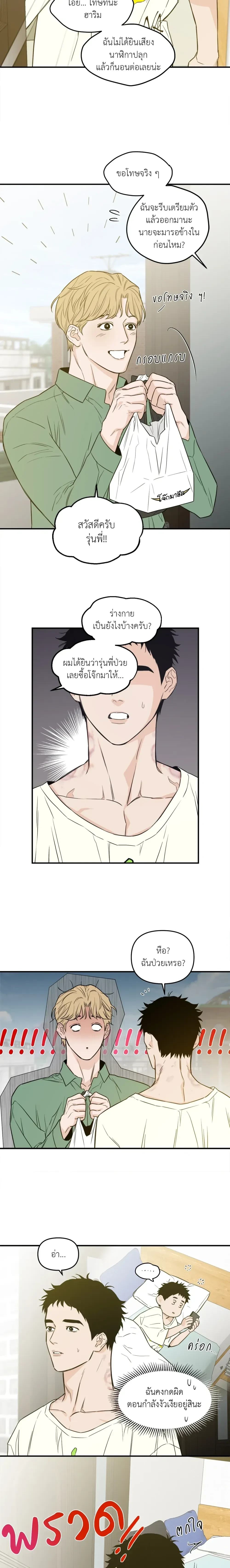 หน้าที่ 13