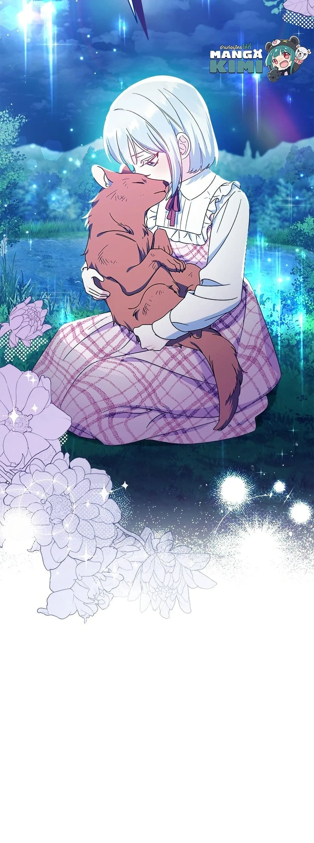 หน้าที่ 17