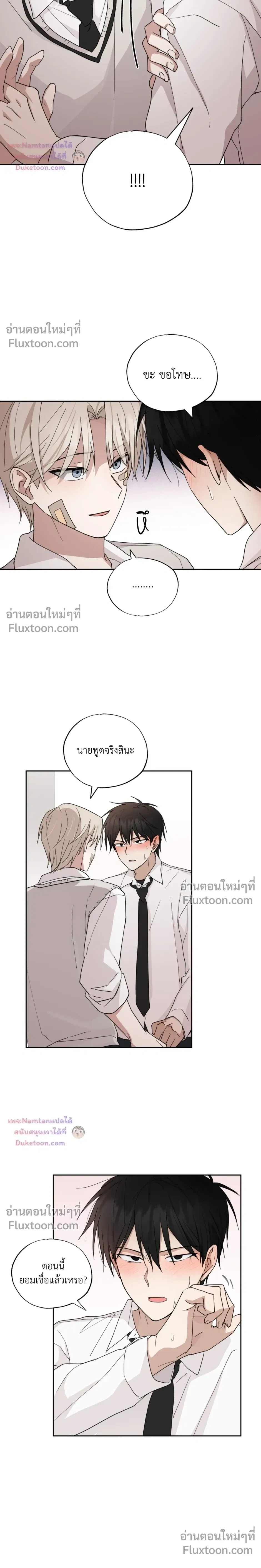 หน้าที่ 12