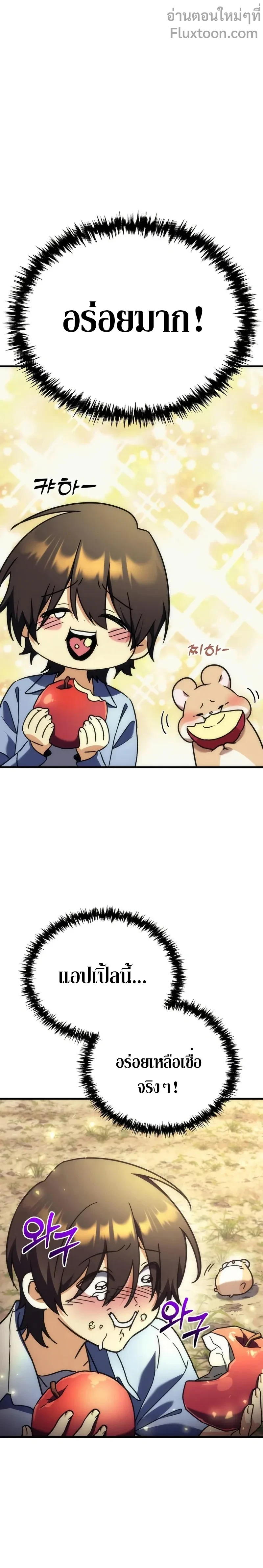 หน้าที่ 31