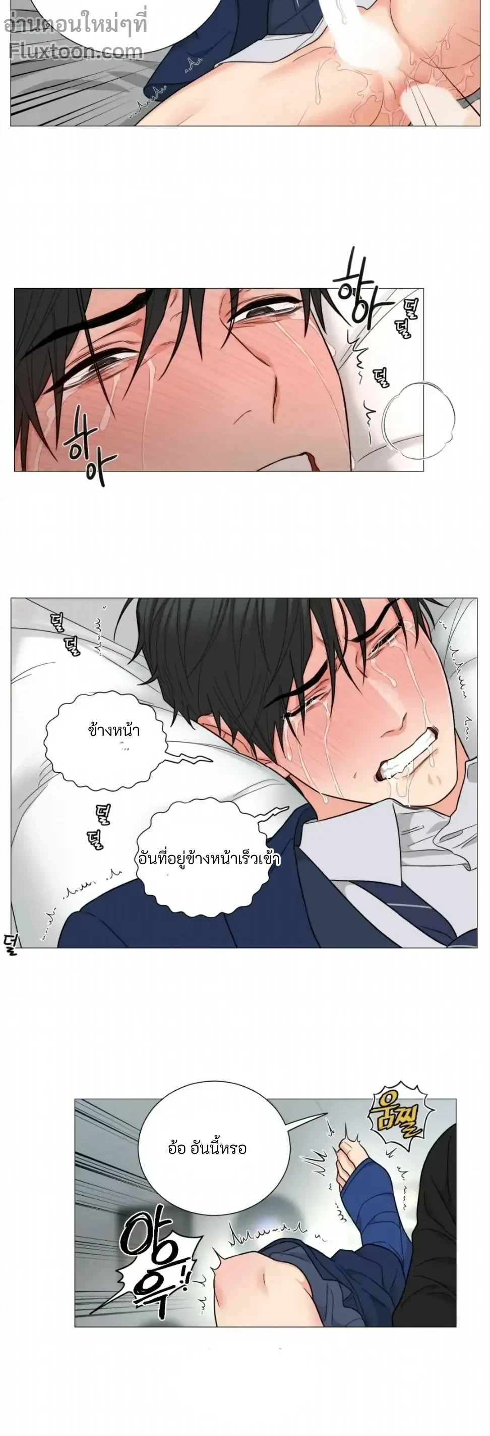 หน้าที่ 3