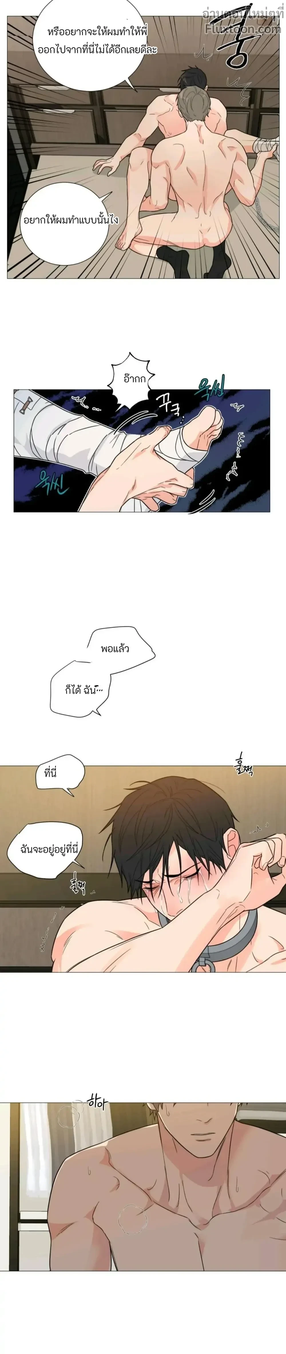 หน้าที่ 11