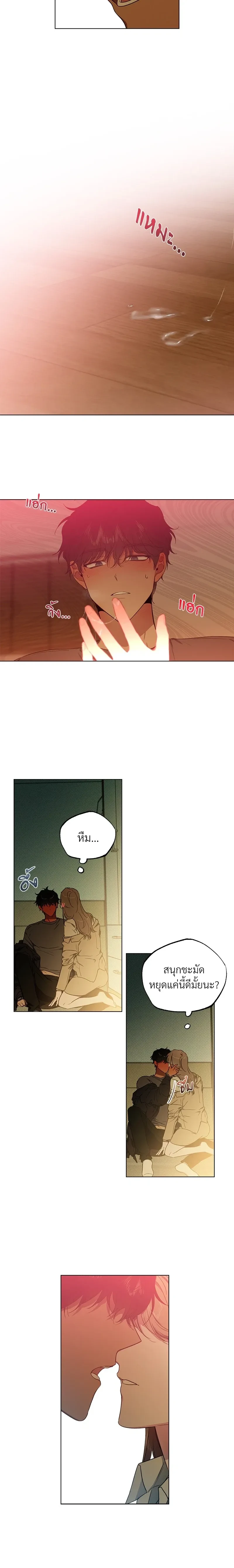 หน้าที่ 13