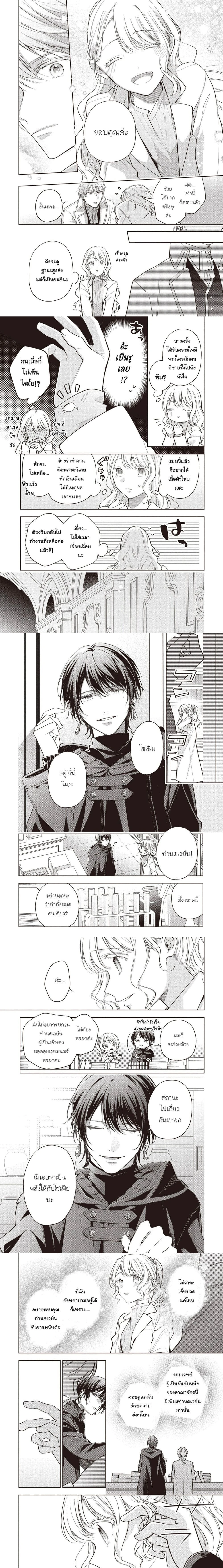 หน้าที่ 3