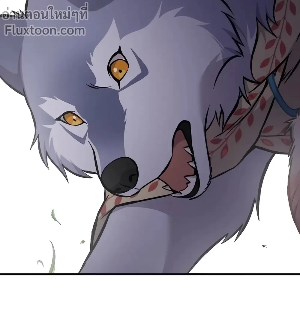 หน้าที่ 46