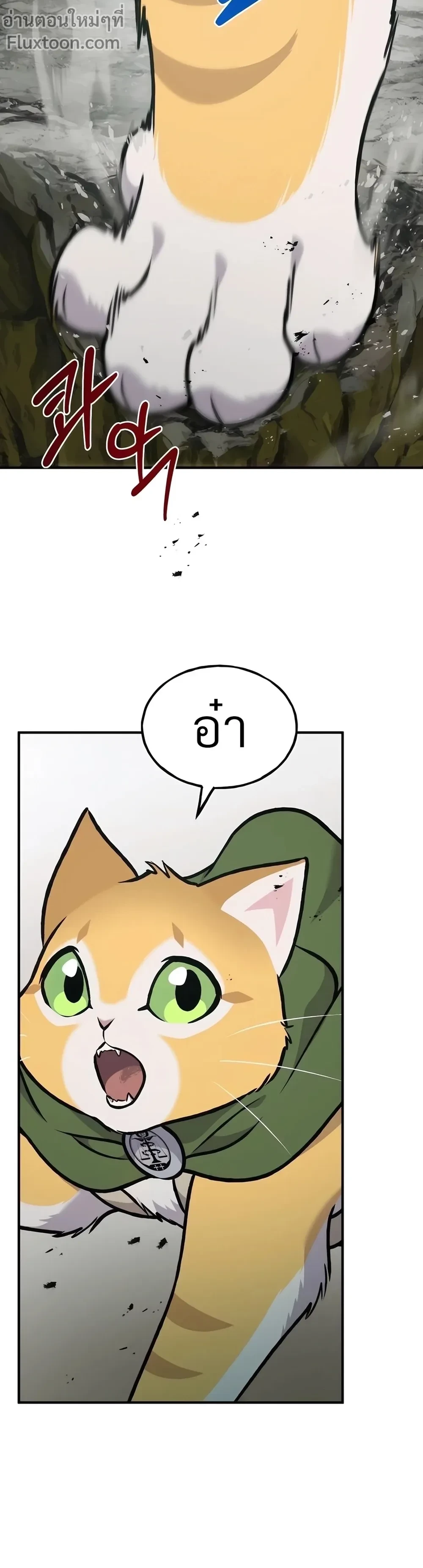 หน้าที่ 35