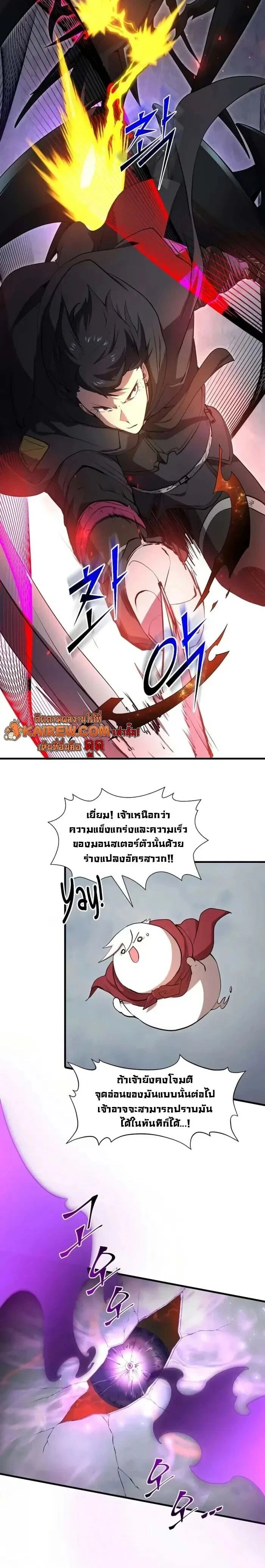 หน้าที่ 17