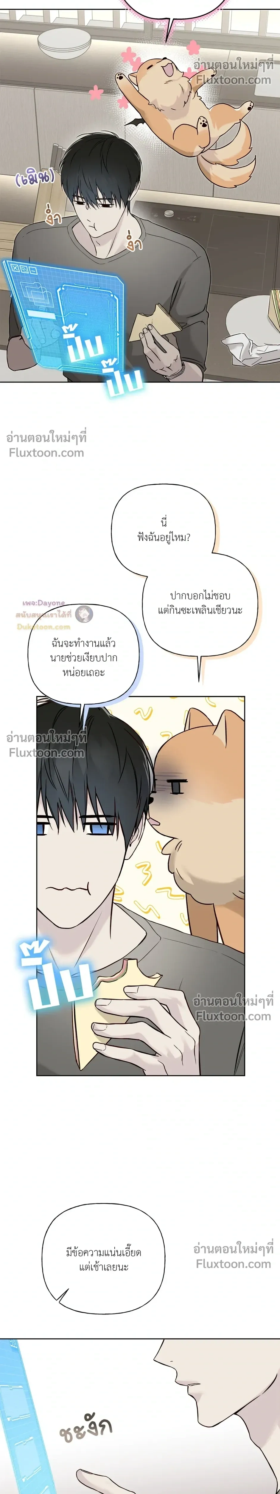 หน้าที่ 5