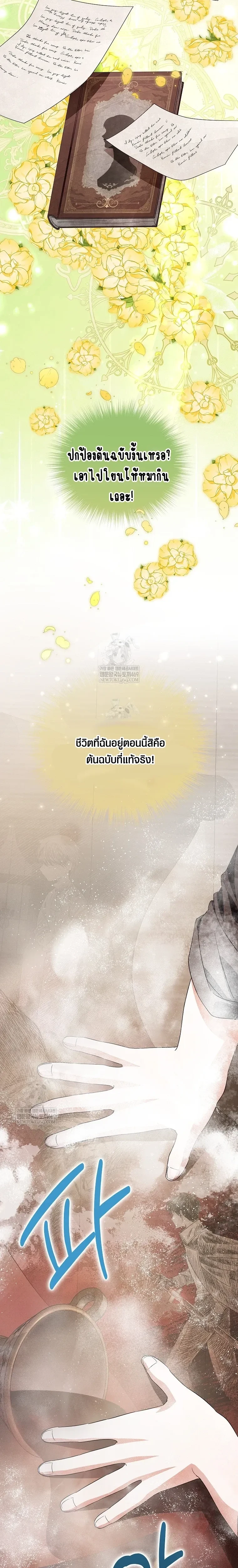 หน้าที่ 29