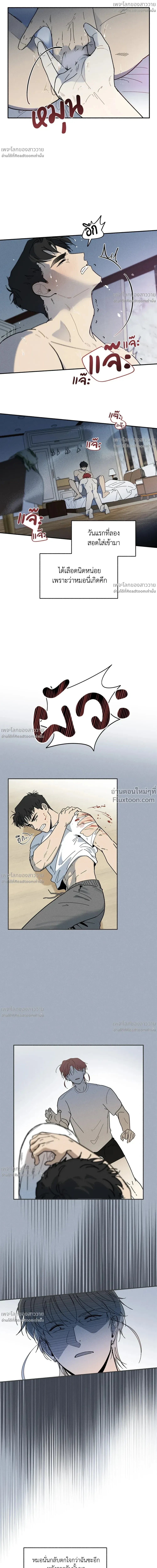 หน้าที่ 6