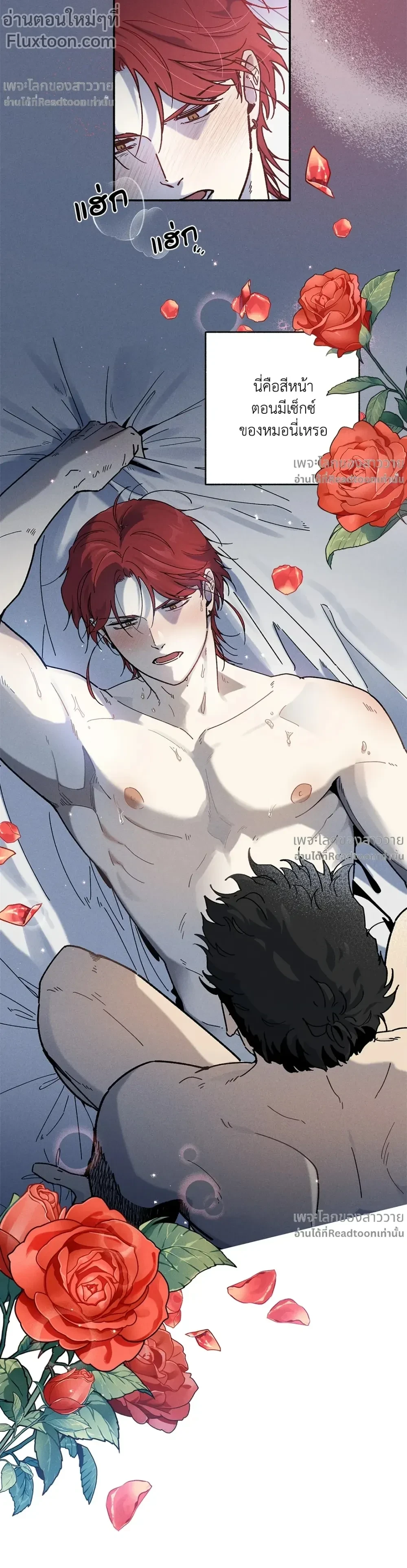 หน้าที่ 11