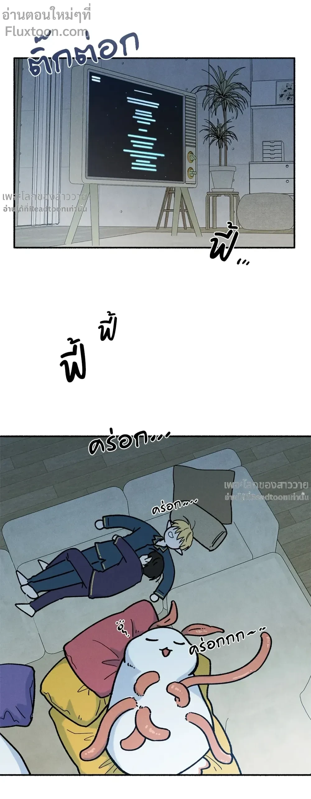 หน้าที่ 13